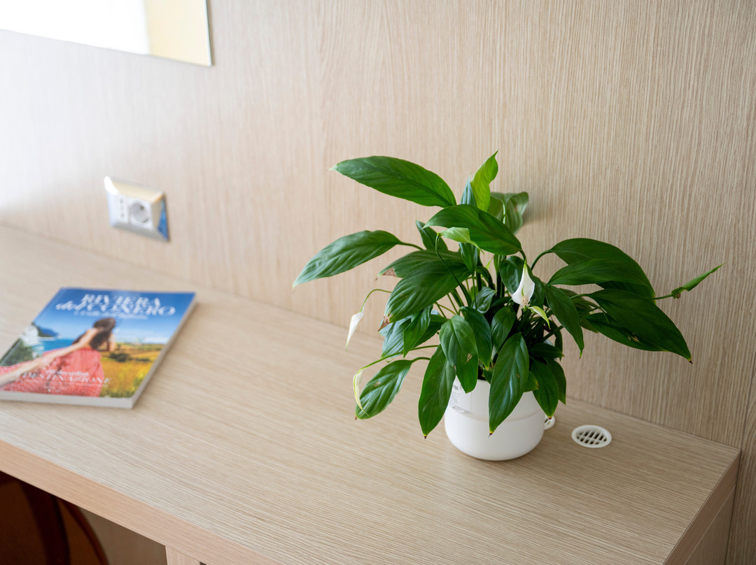 Hotel Kon Tiki主图