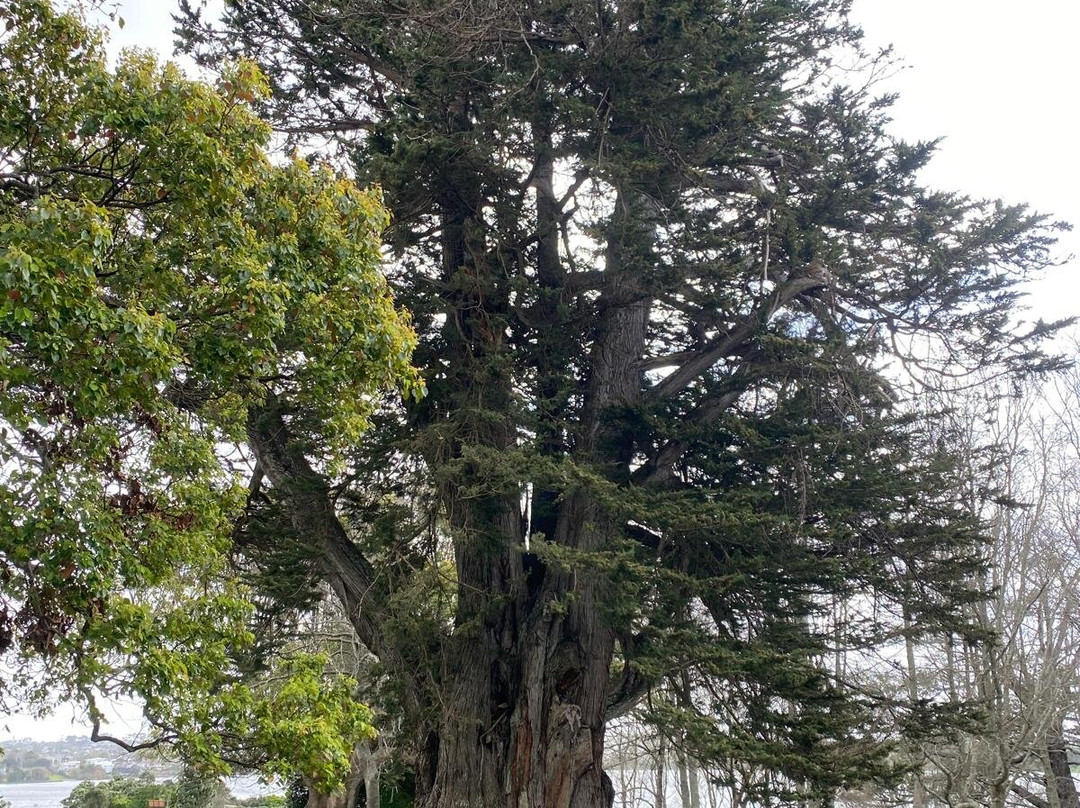 Killarney Park-塔卡普纳必去景点