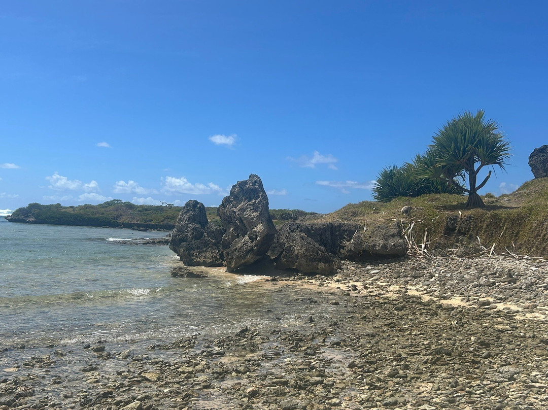 Johaness Speedboat & Catamaran Cruises-卓得多斯必去景点