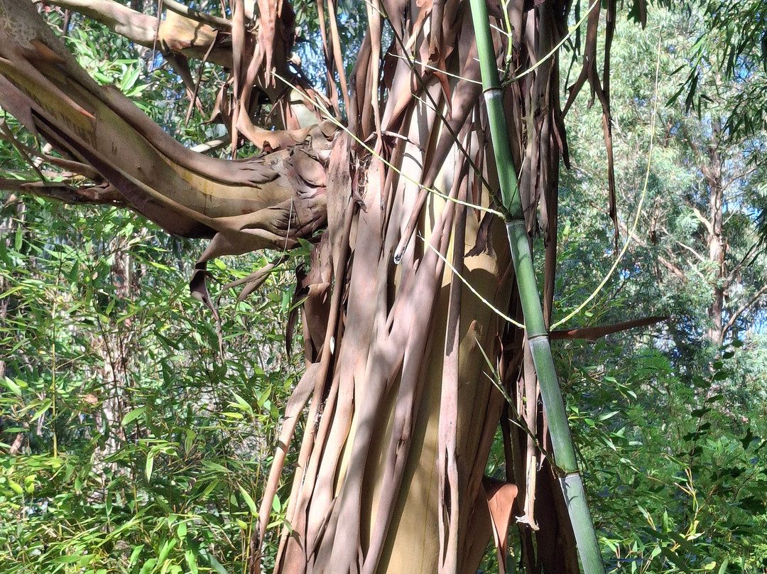 Jungle Garden-Eu必去景点
