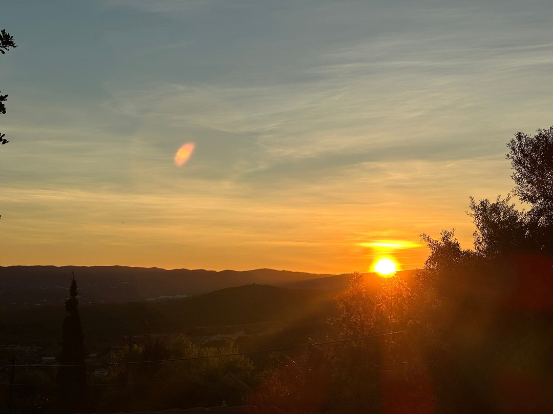 B&B Candelária主图