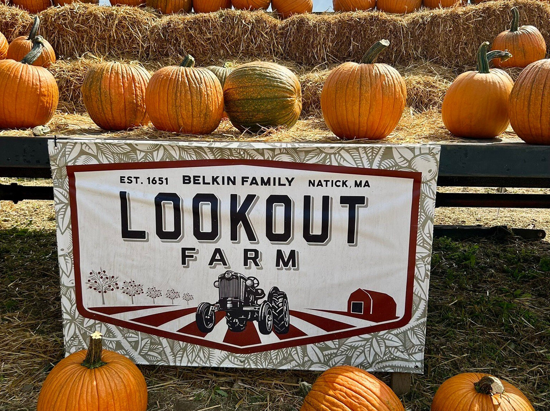 Lookout Farm-内蒂克必去景点