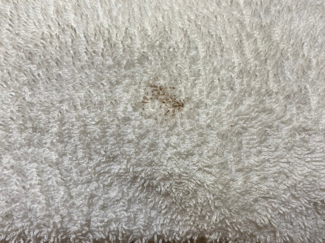 贝斯特韦斯特和睦旅馆及套房酒店主图