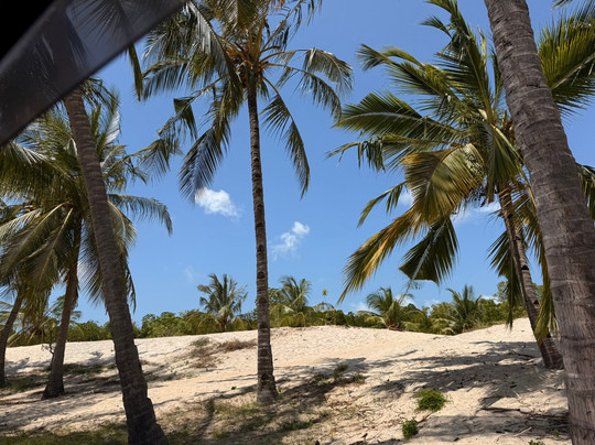 Samuel Safari Kenya-瓦塔木必去景点