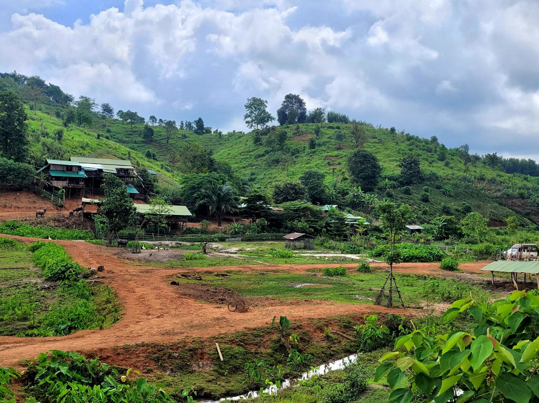 Elephant Steps Chiang Rai-清莱必去景点