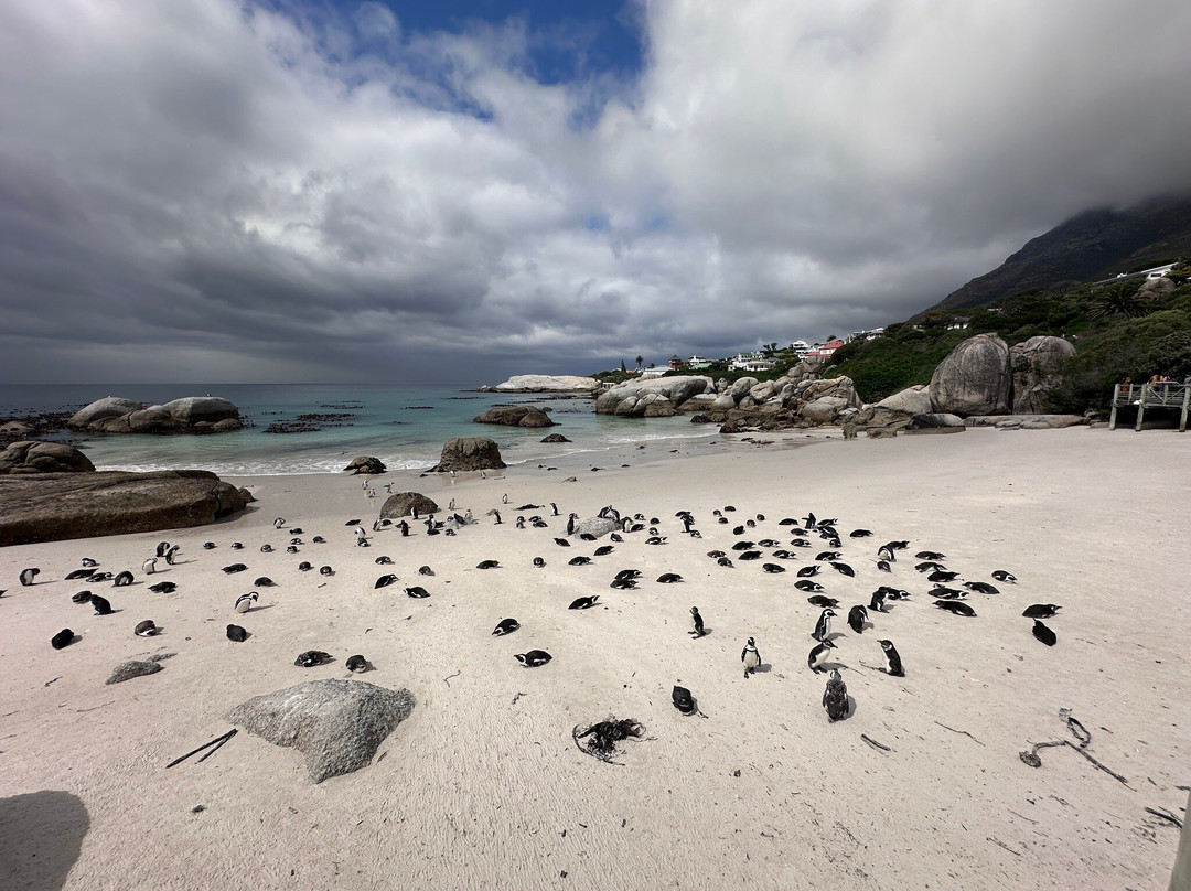 UP AND DOWN TOURS-开普敦中心区必去景点