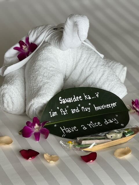 苏梅岛悦榕庄大酒店-客卧