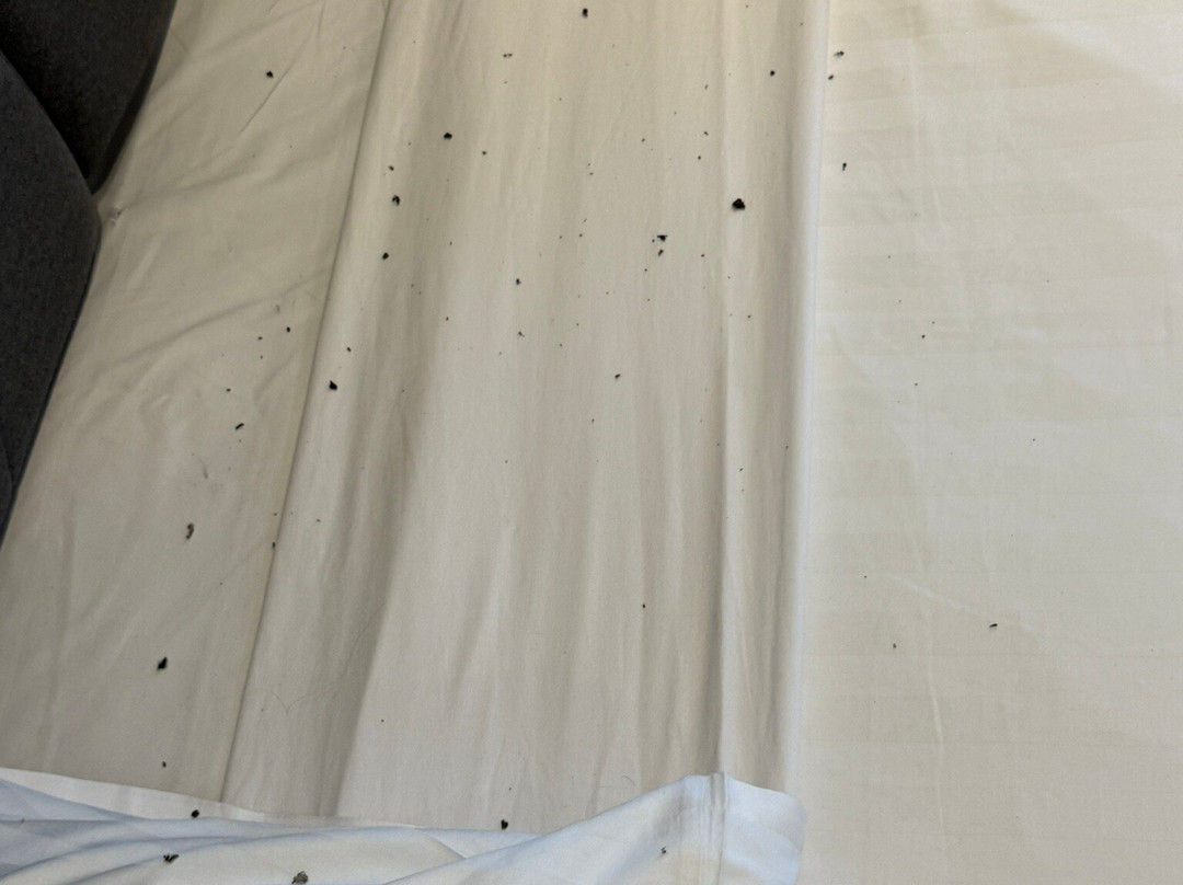 Quest East Perth主图