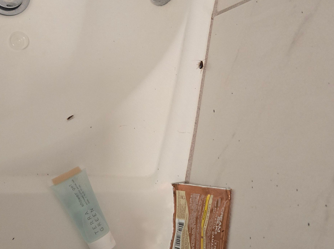 Ramada by Wyndham Harrisonburg主图