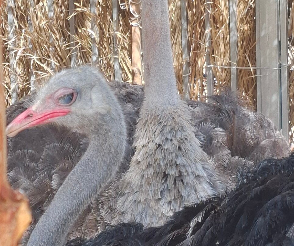 Hurghada Grand Aquarium-赫尔格达必去景点