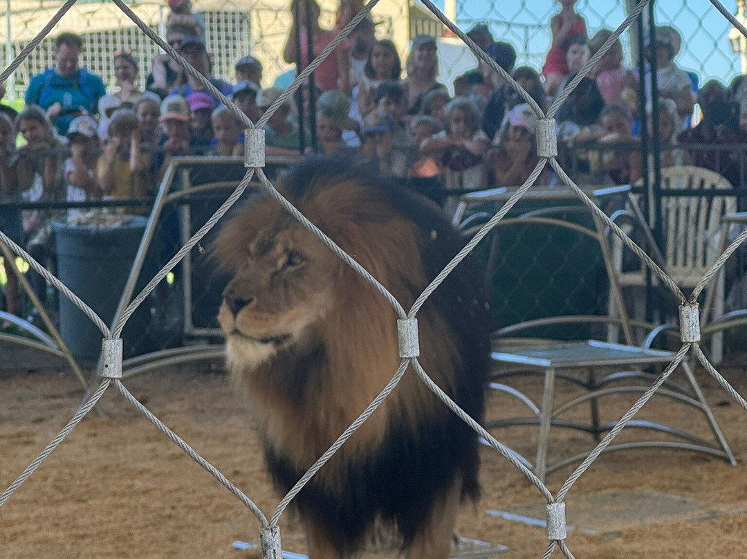 Krone Farm-Wessling必去景点