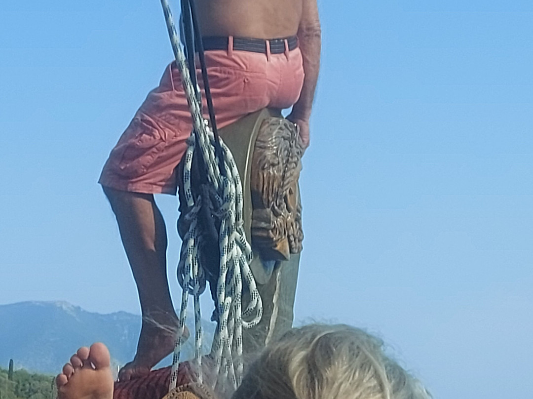 Odysseia Boat Tour-Nidri必去景点