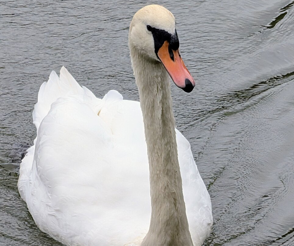 Caen Hill Locks-迪韦齐斯必去景点