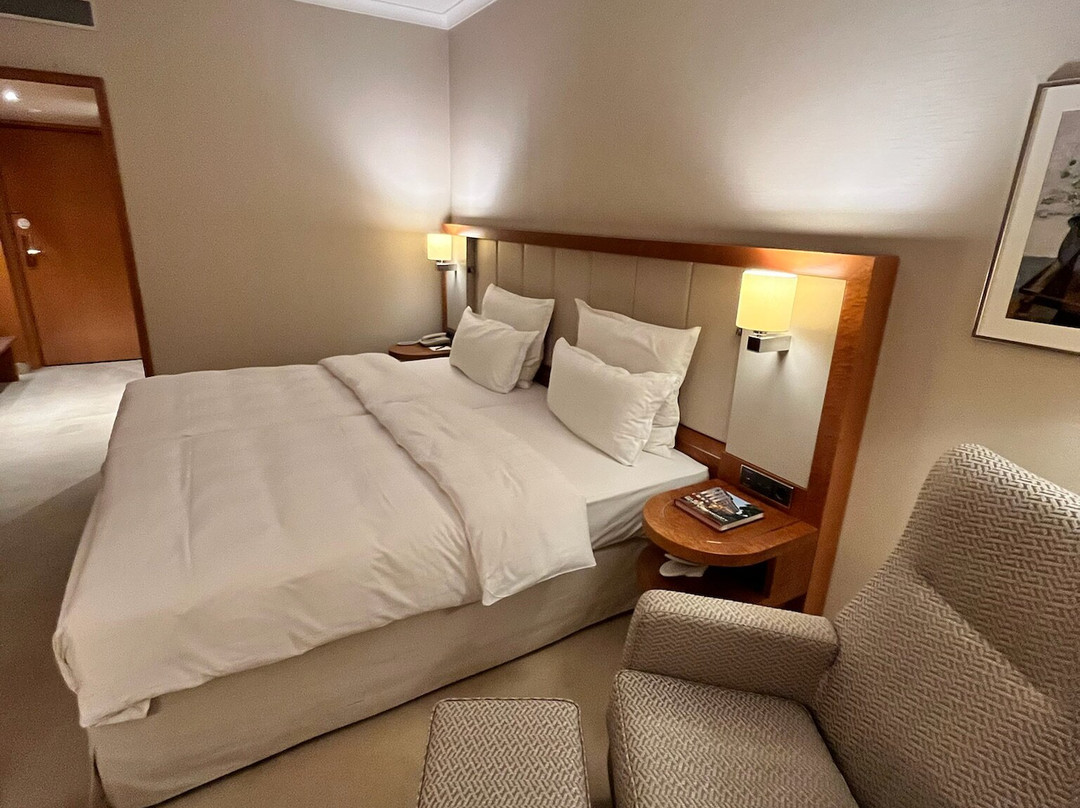 汉堡爱丽舍酒店主图