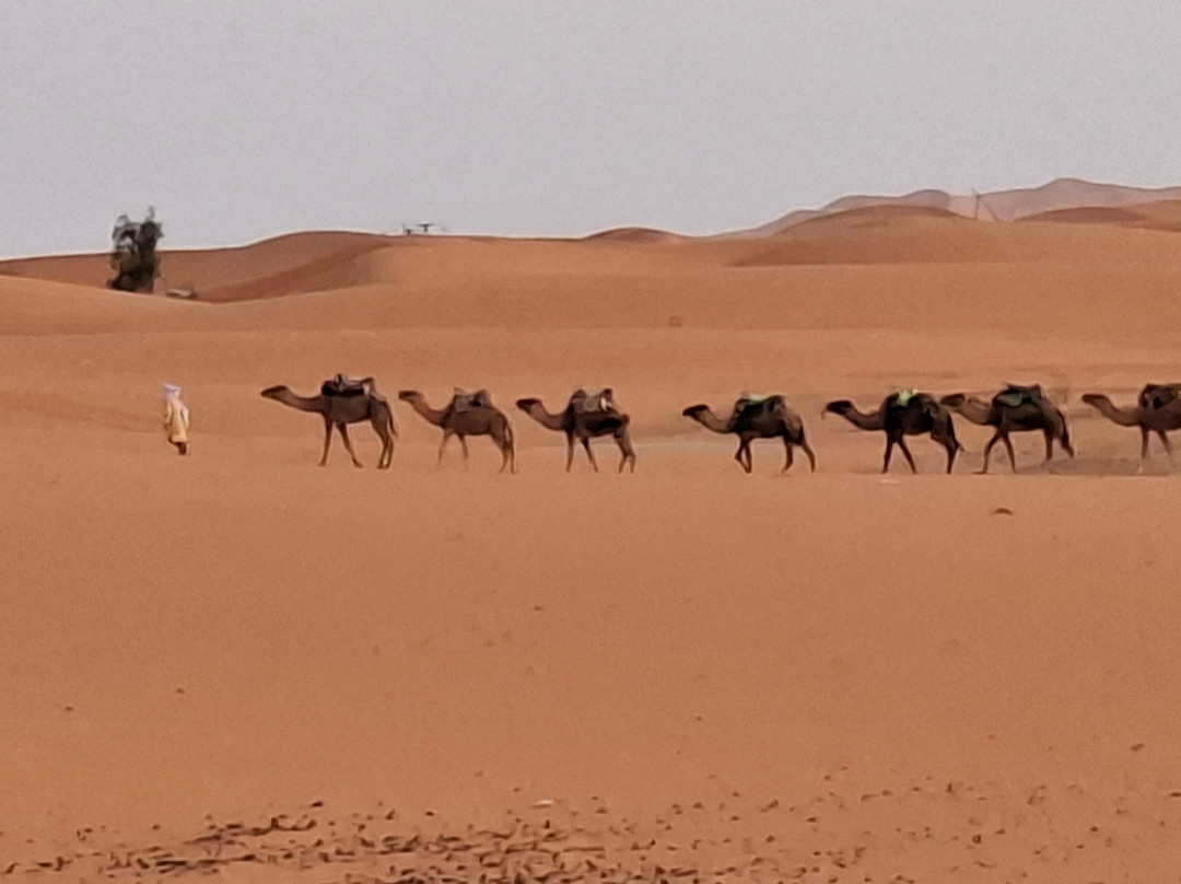 Viajamos en Marruecos-非斯必去景点