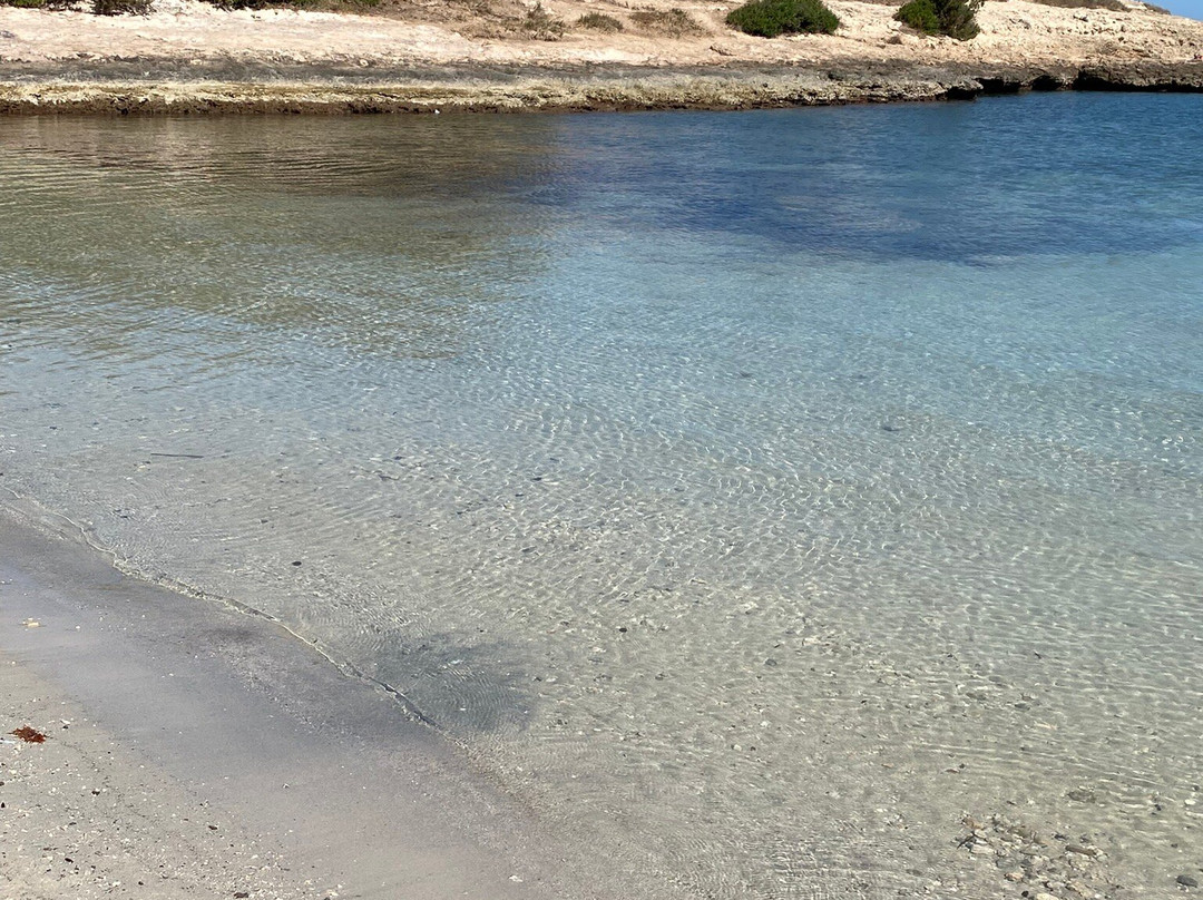 Spiaggia di Torre Pozzelle-奥斯图尼必去景点