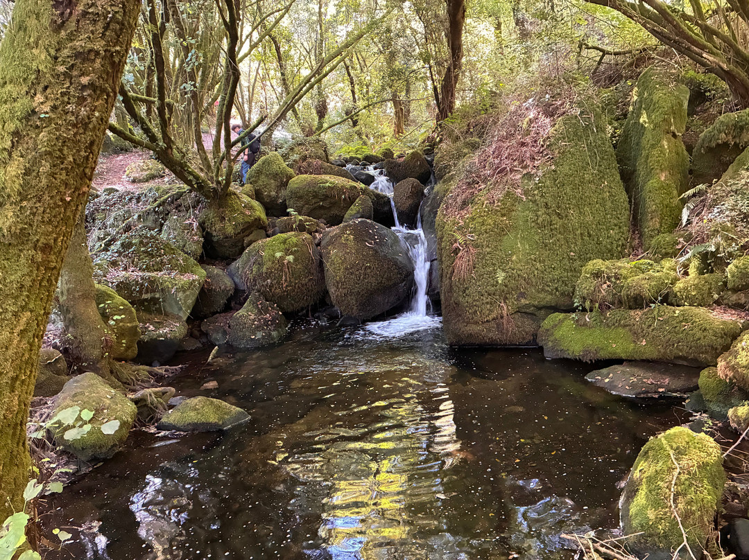 Tee Travel-圣地亚哥德孔波斯特拉必去景点