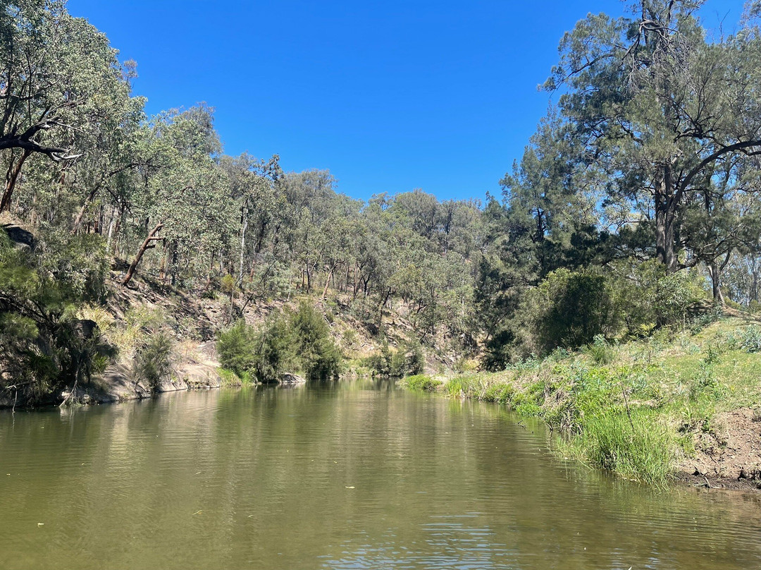 Central Queensland Nature Tours-罗尔斯顿必去景点