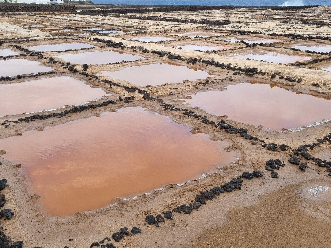 Salinas de los Cocoteros-Teguise必去景点