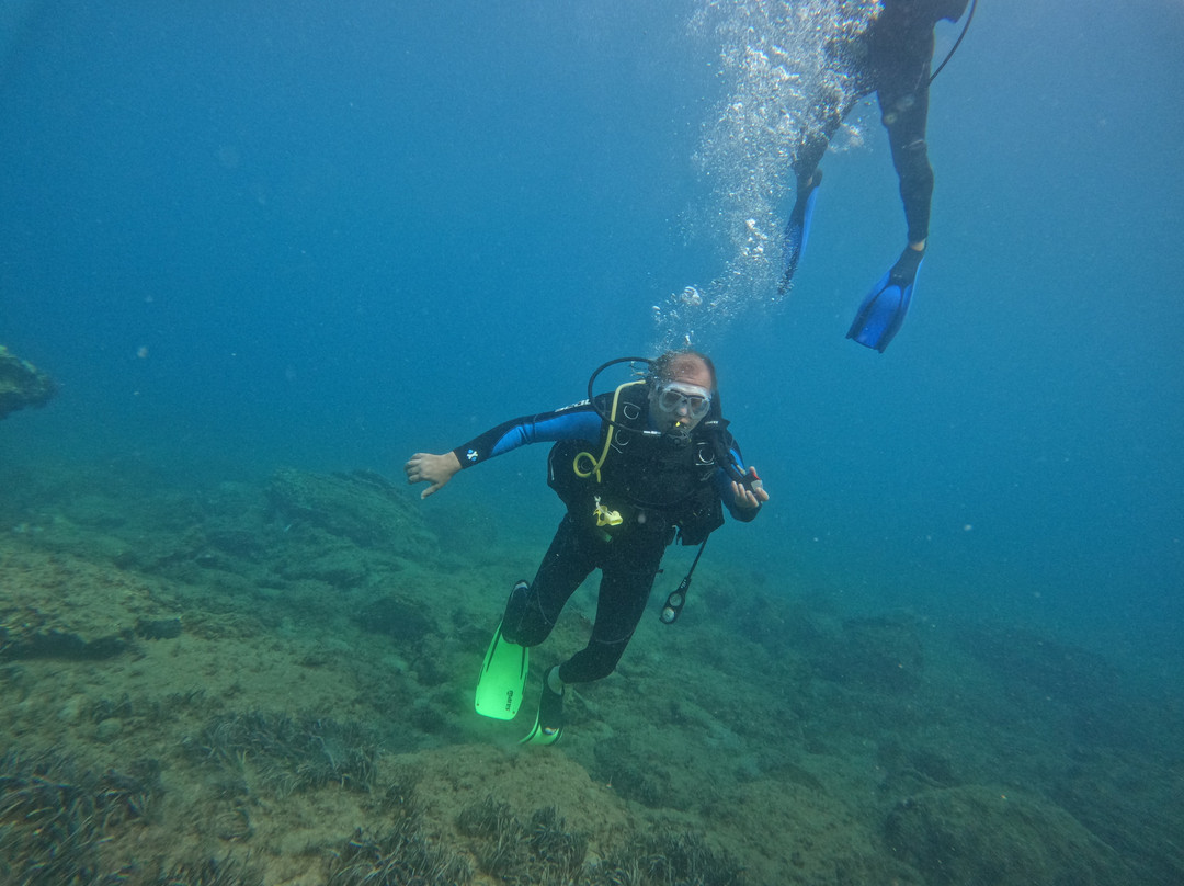 Active Blue Diving Center-库萨达斯必去景点