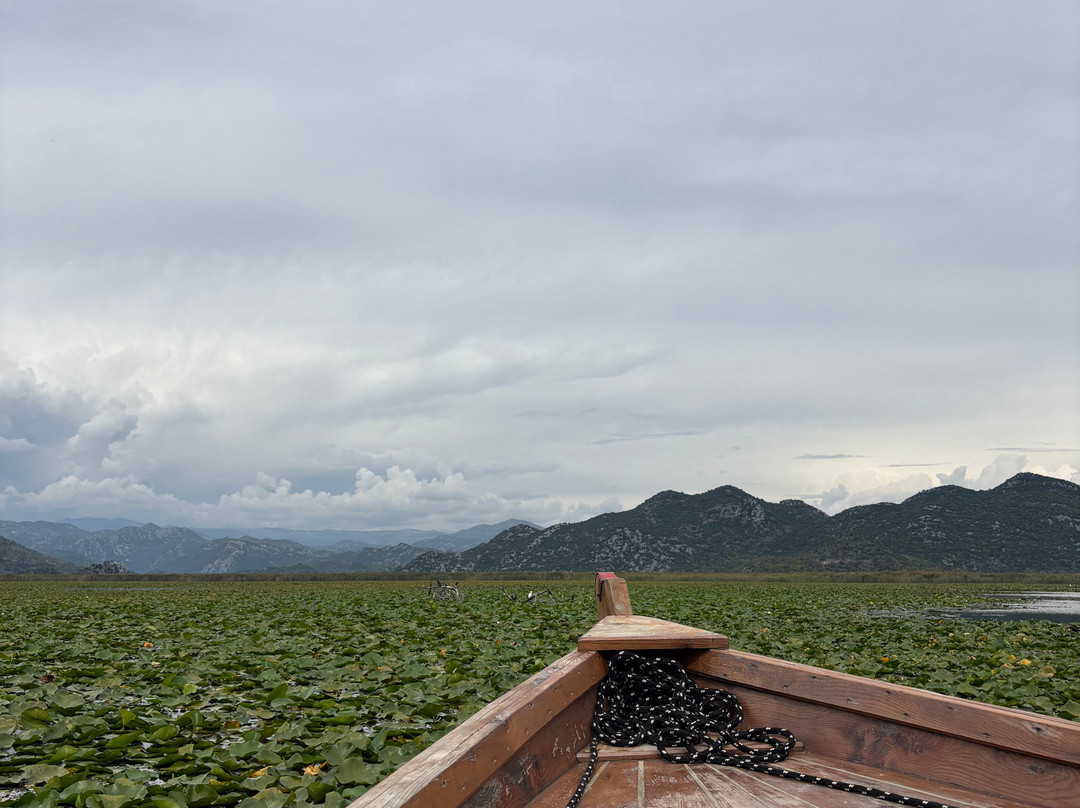 DOO PELIKAN-维尔巴札拉必去景点