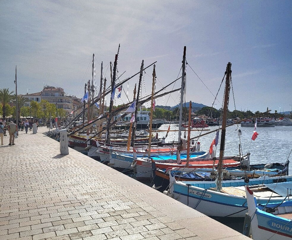 Port Sanary Sur Mer-滨海萨纳里必去景点