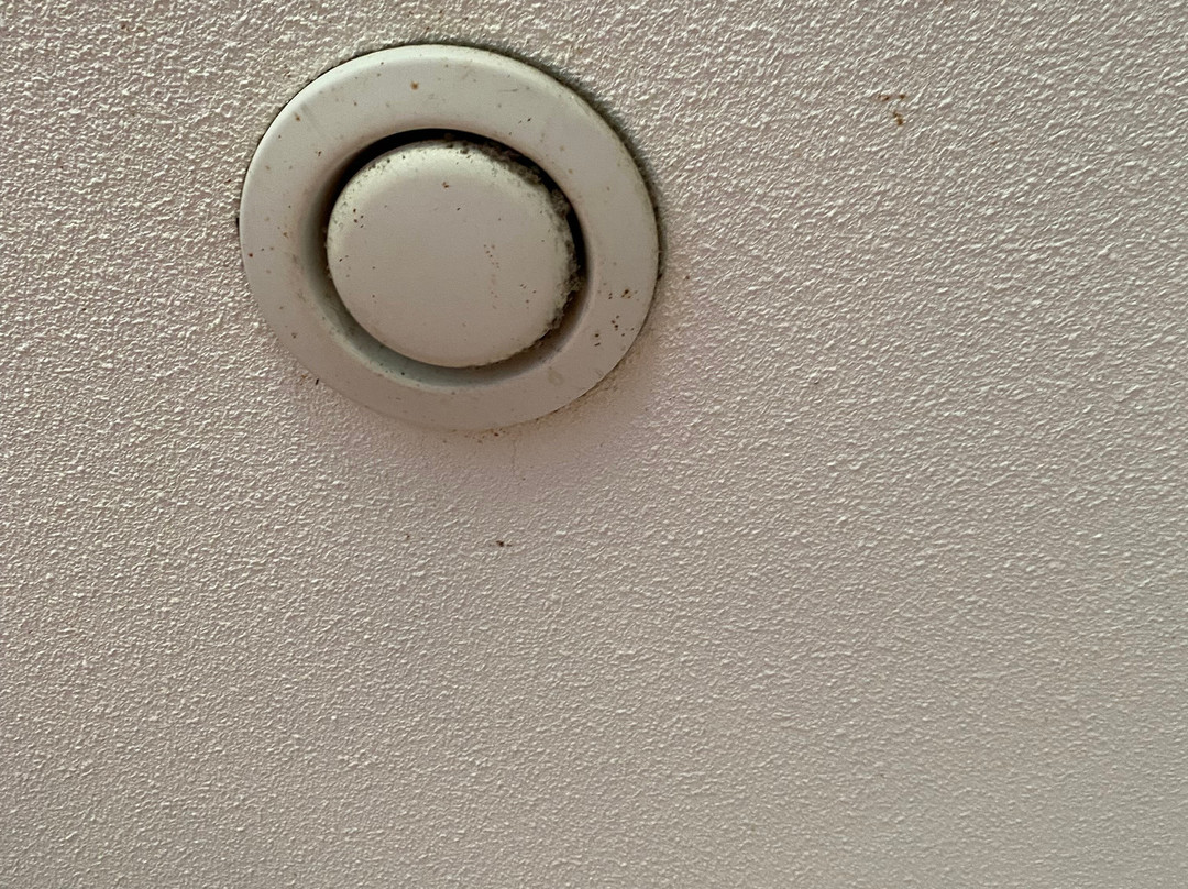 De Paardekreek主图