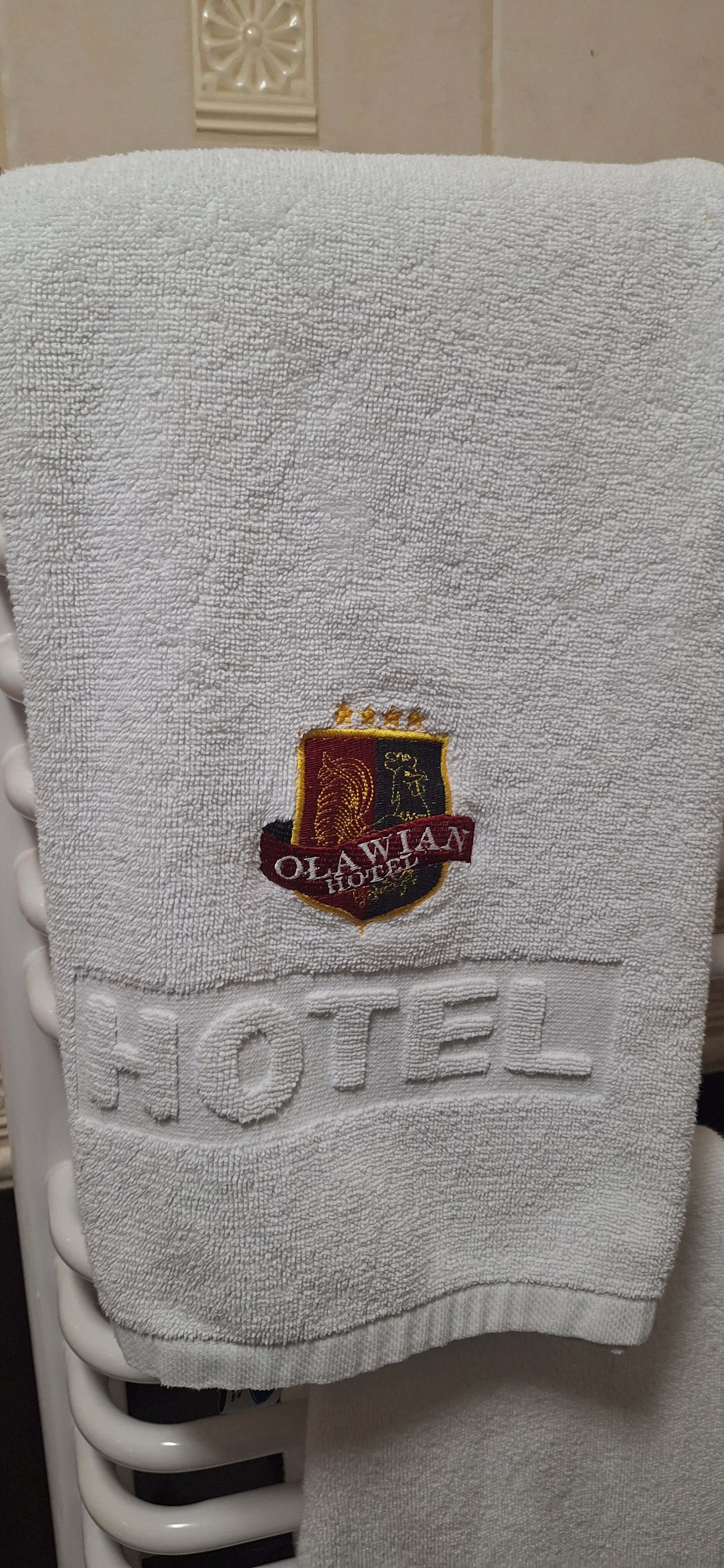 Olawian Hotel-浴室