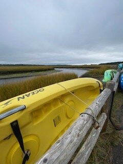 Scarboro Marshes-斯卡伯勒必去景点