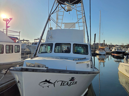 Teazer Charters-南波特兰必去景点