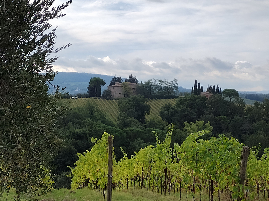 Tours By Roberto-阿夏诺必去景点