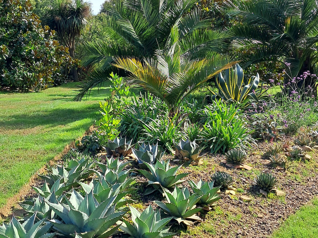 Jardin Des Barthes-Saubrigues必去景点