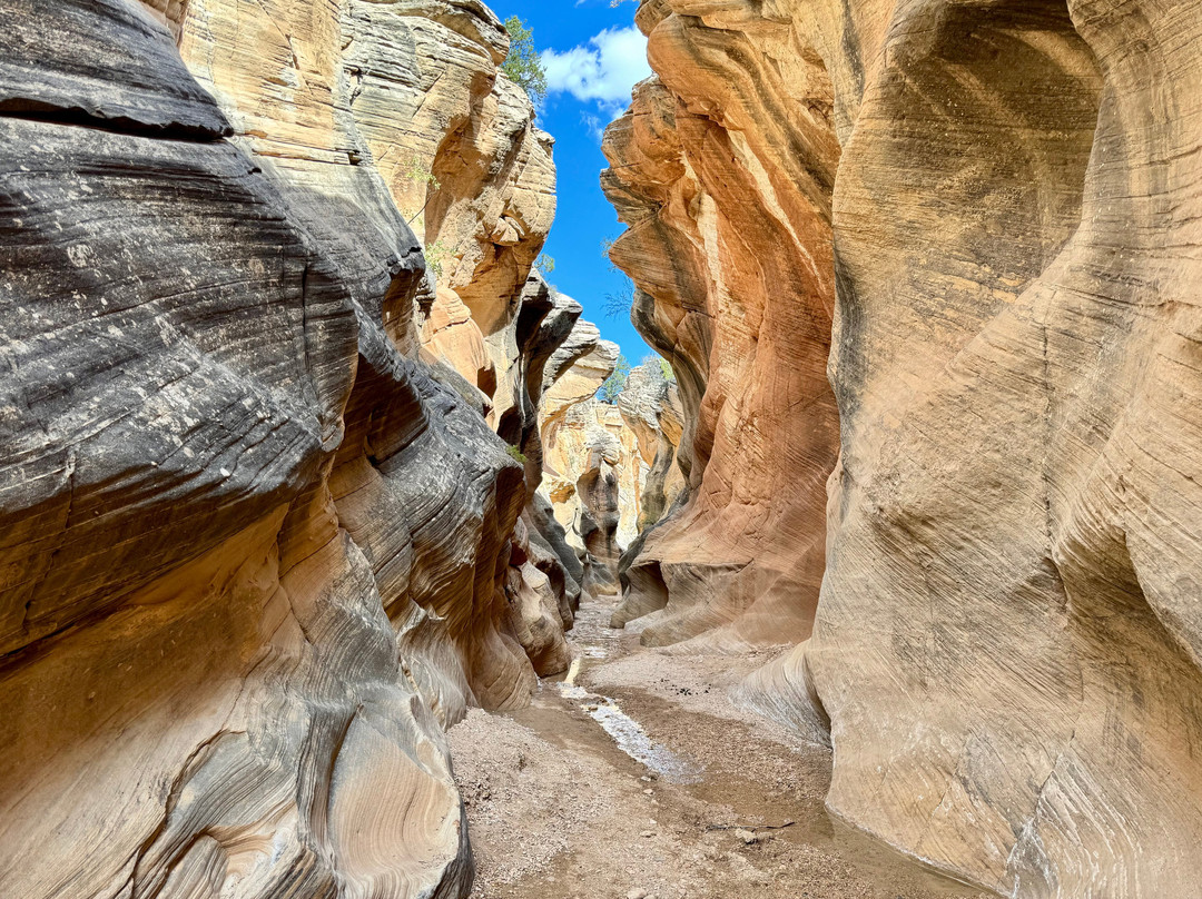 Canyon Country Lodge主图