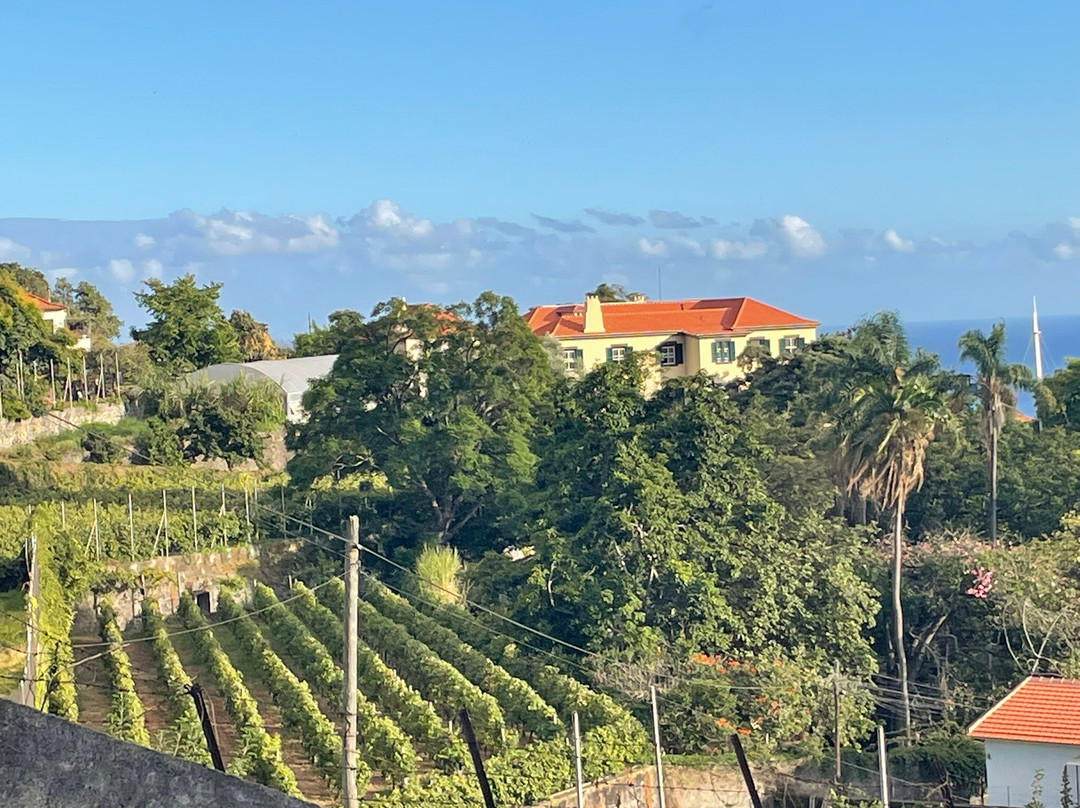 Blandy's Vineyards-沙尔必去景点