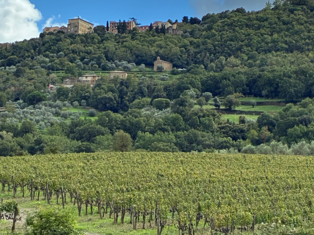 Girosole Italy Walking Tours-Abbadia San Salvatore必去景点