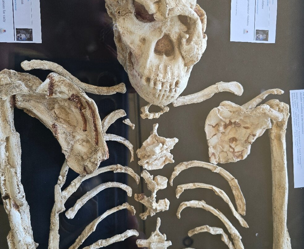 Thiya Tours and Safaris-Johannesburg South必去景点