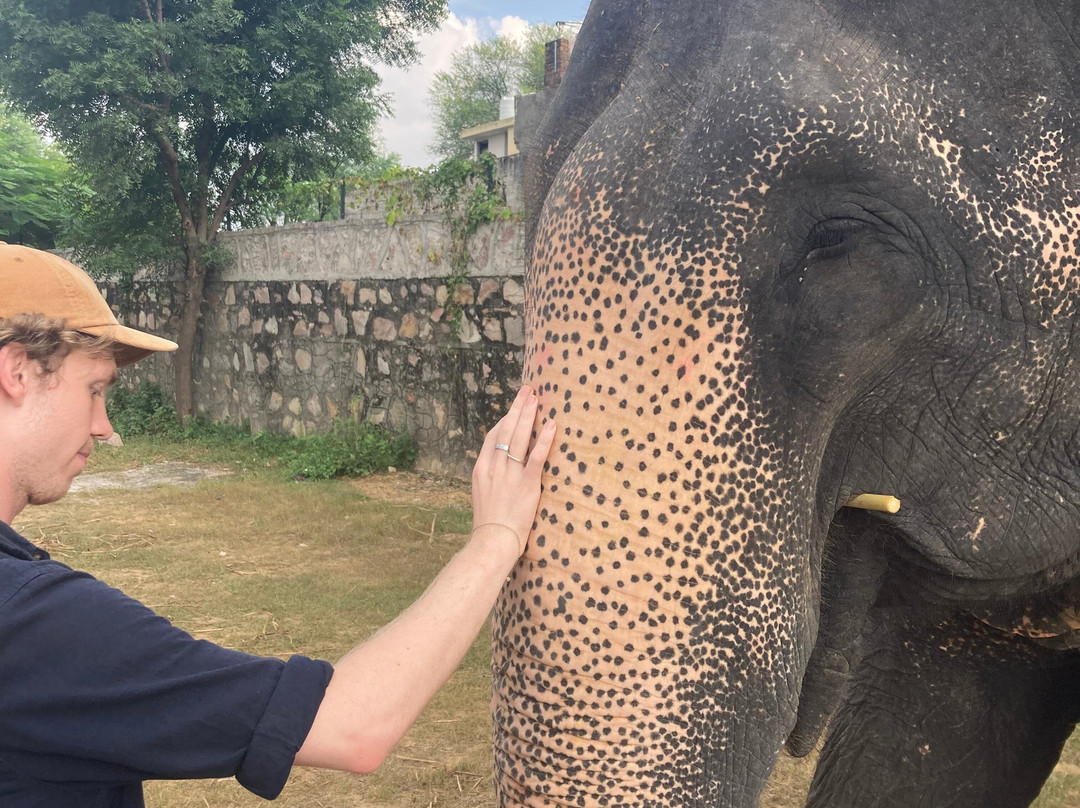 Elefanjoy Elephant Sanctuary-斋蒲尔必去景点