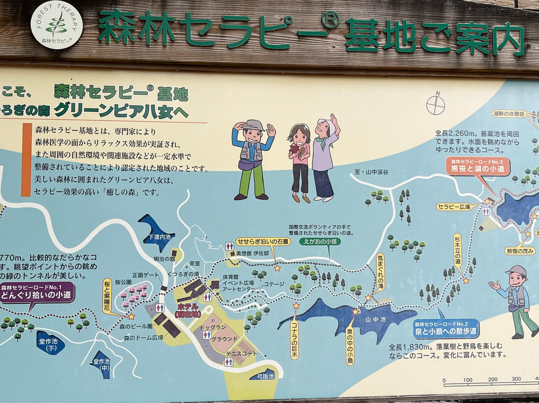Kutsuroginomori Green Pia Yame主图