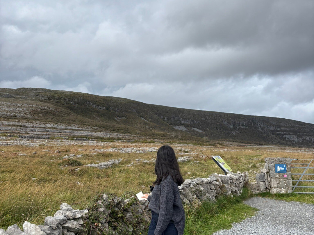 Hidden Burren Walks-金瓦拉必去景点
