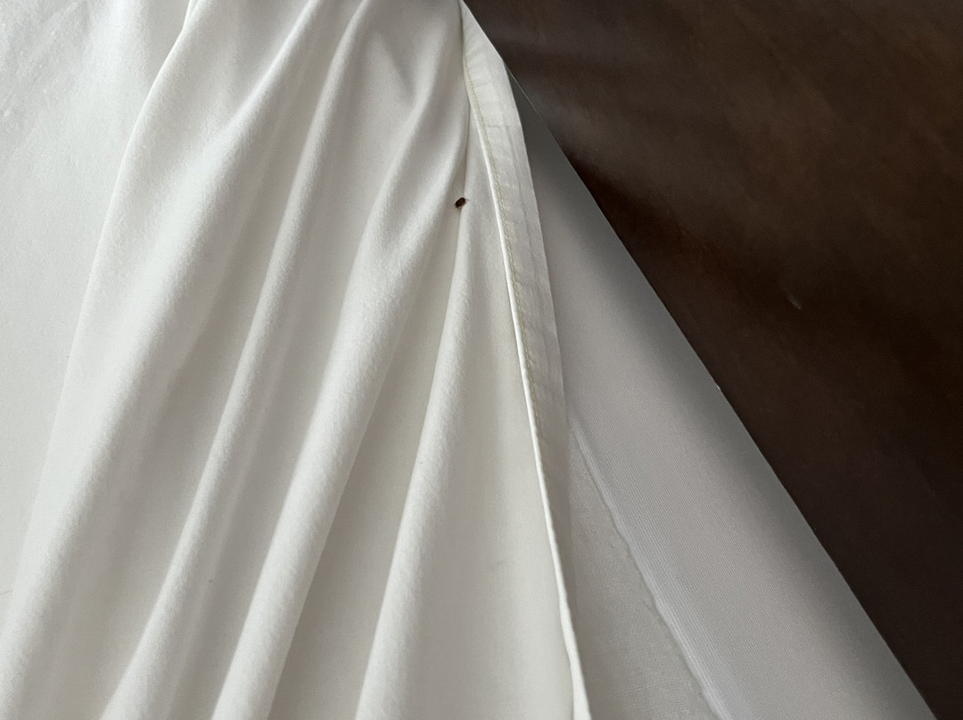 Hampton Inn Waycross主图