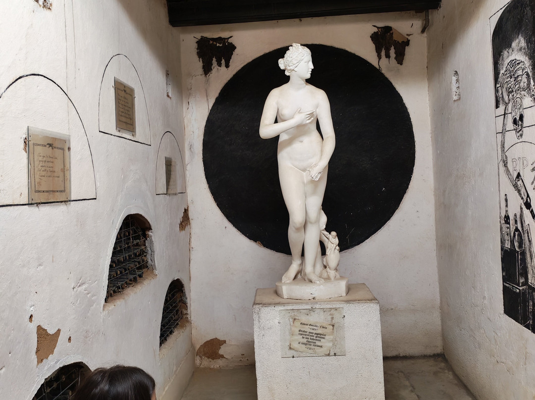 Fundo Los Nichos-Pisco Elqui必去景点