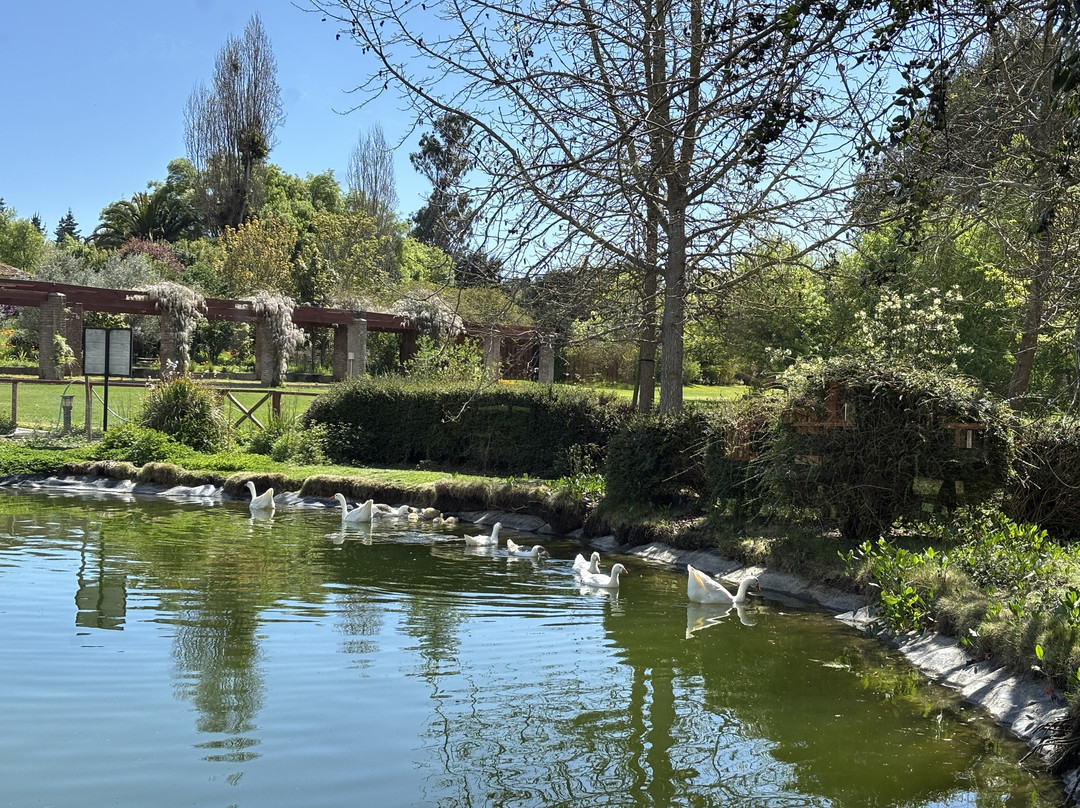 La Casona At Matetic Vineyards主图