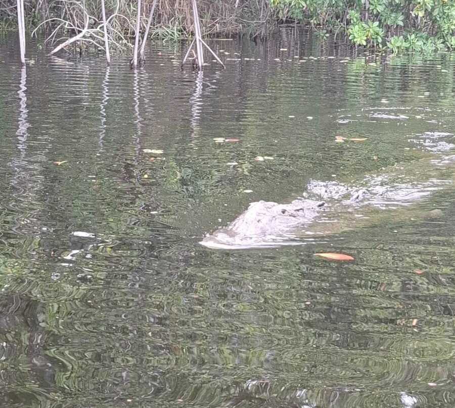 Peter Tosh Monument-内格里尔必去景点