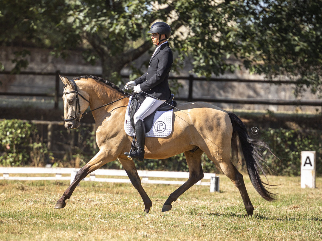 Quinta Ladeira do Prado - Horse Training & Equestrian Tourism-Travanca必去景点