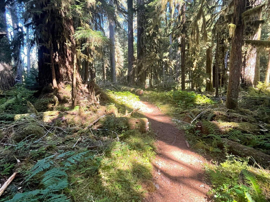 Lovers Lane trail-安吉利斯港必去景点