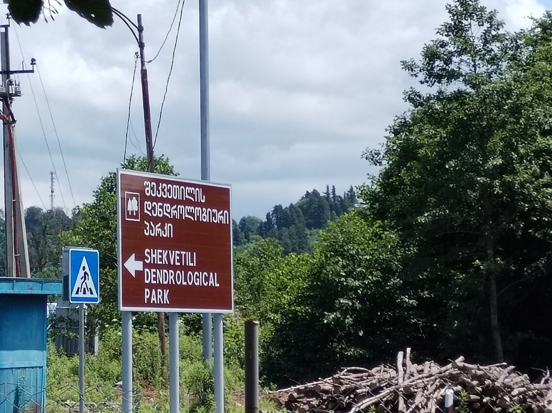 Shekvetili Dendrological Park-Shekhvetili必去景点