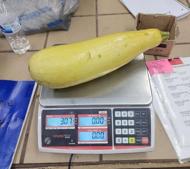 Cox's Plant Farm-Clayton必去景点