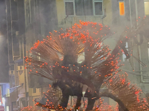 Tai Hang Fire Dragon Heritage Centre-香港必去景点