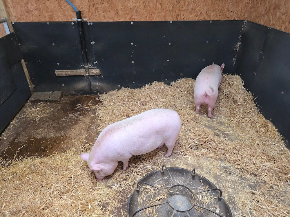 Church Farm Tearooms and Children’s Farm Anslow-特伦特河畔柏顿必去景点