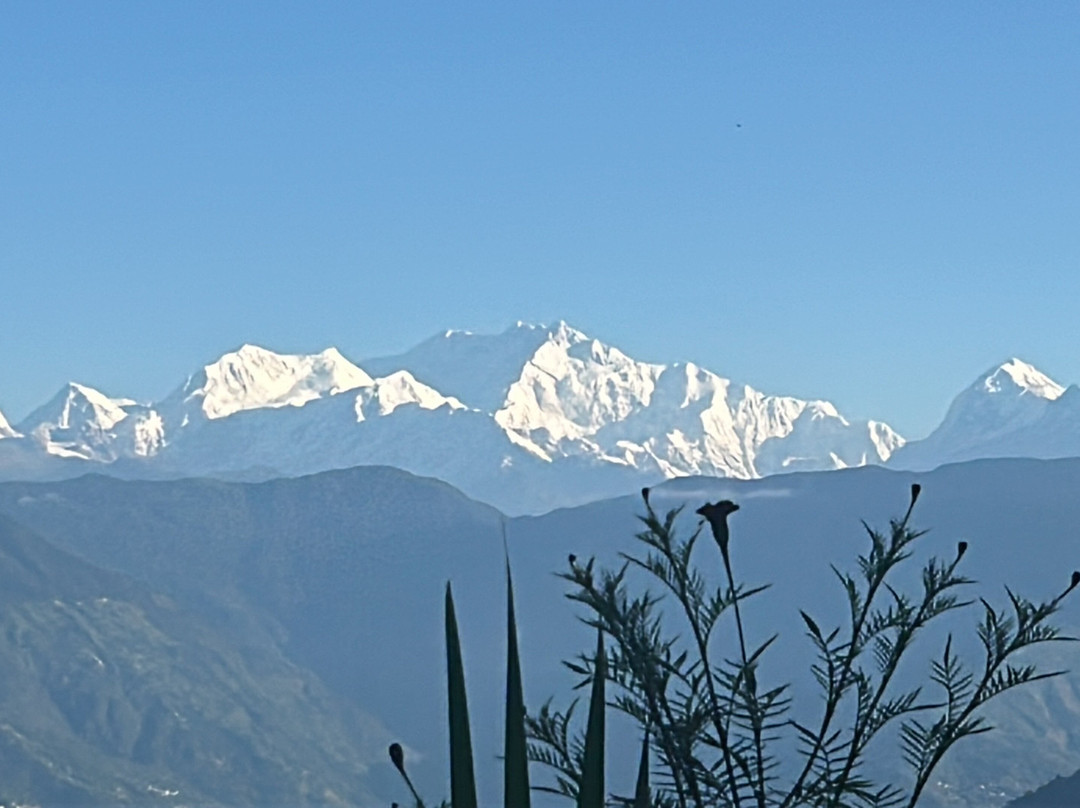 Yule Tea Retreat主图